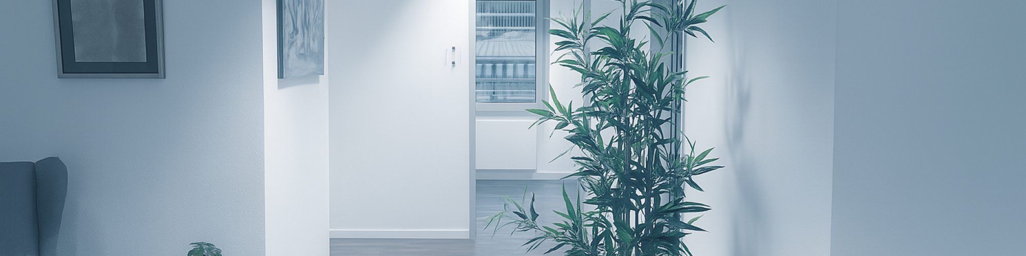 Mental Health Privatpraxis Dr. Daniel Zeiß GmbH